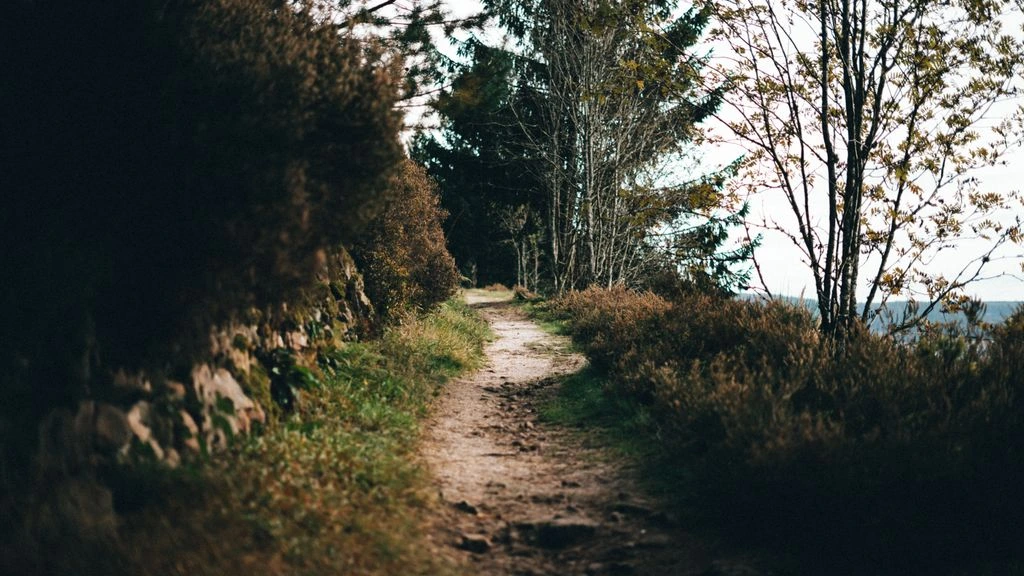 On-site trail running along the Little Thompson River